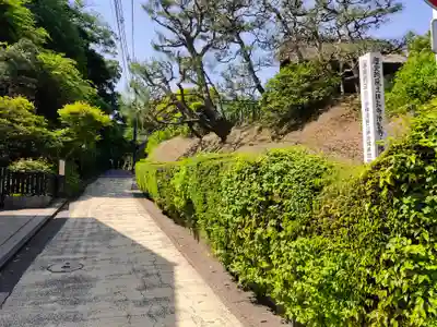 長壽寺（長寿寺）(神奈川県)