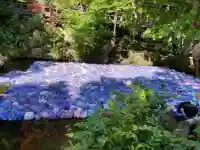 楽法寺(雨引観音)の{uncategorized: "未分類", other: "その他", undefined: "問題あり", building: "その他建物", grave: "お墓", sacred_gate: "鳥居", guardian: "狛犬", statue: "像", buddha: "仏像", history: "歴史", nature: "自然", garden: "庭園", animal: "動物", pagoda: "塔", temizu: "手水舎", mountain_gate: "山門・神門", sanctuary: "本殿・本堂", subordinate: "末社・摂社", art: "芸術", scenery: "景色", jizo: "地蔵", ema: "絵馬", goshuin: "御朱印", omikuji: "おみくじ", items: "授与品その他", amulet: "お守り", goshuincho: "御朱印帳", eats: "食事", festival: "お祭り", votive_dance: "神楽", shichigosan: "七五三参", wedding: "結婚式", experience: "体験その他", initially: "初詣", around: "周辺", anti_infection: "感染症対策"}