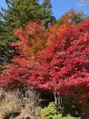 赤城神社(群馬県)