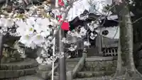 津嶋神社の自然