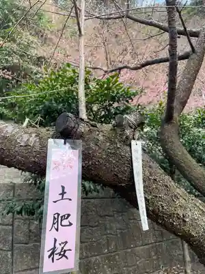 土肥神社(静岡県)