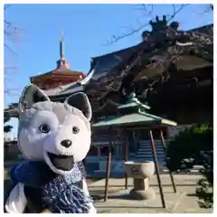 祐天寺の建物その他