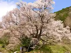 仏隆寺(奈良県)