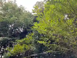 大宮温泉神社(栃木県)(2023年09月01日(金) 08時09分39秒投稿)