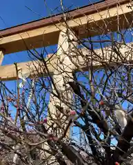 朝日森天満宮の建物その他