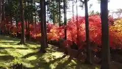 龍興山神社の自然