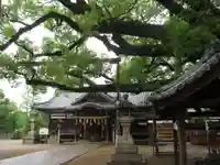 百舌鳥八幡宮のその他建物