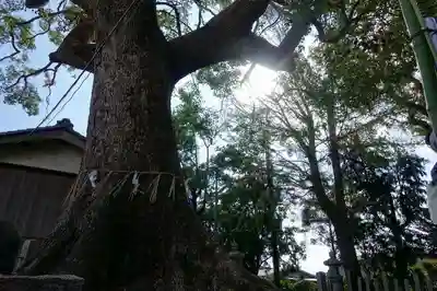 玉田神社のその他建物