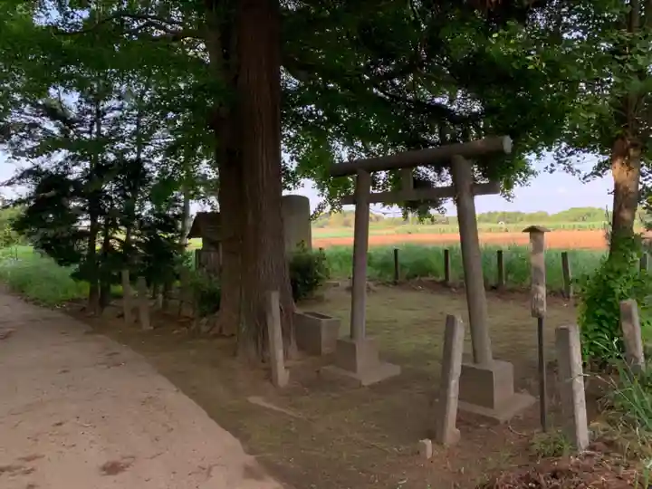 大棟梁大神(千葉県)