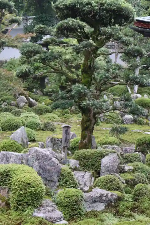金剛寺(大阪府)