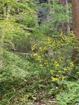 妙本寺(神奈川県)