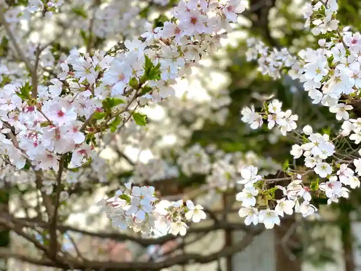 七都石神社の自然