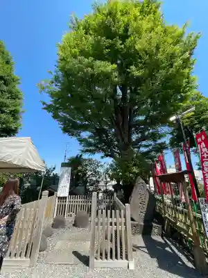 弘明寺(神奈川県)