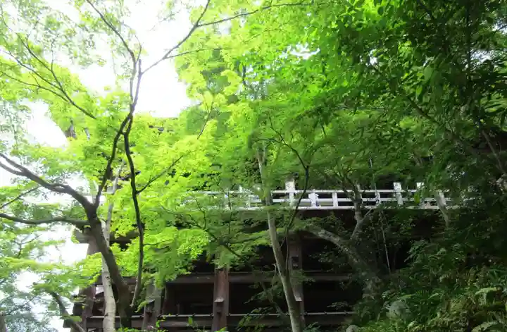 清水寺(京都府)