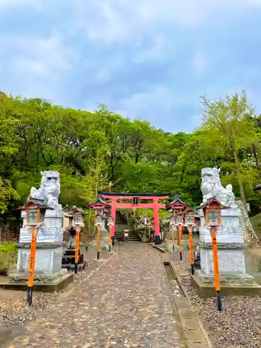 高山稲荷神社の狛犬