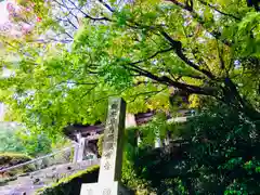 松尾寺の建物その他