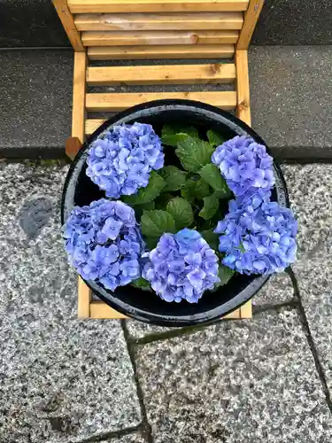 徳島眉山天神社(徳島県)