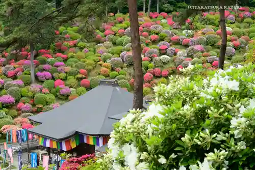 塩船観音寺の景色