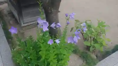 櫛田神社(福岡県)