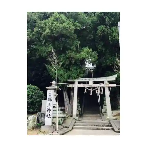 縣主神社の鳥居