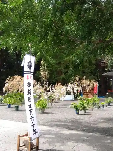 大宮八幡宮の自然