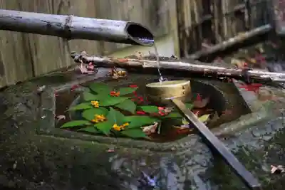柳谷観音 楊谷寺の手水舎