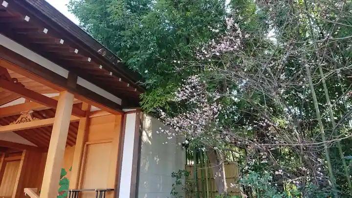 阿佐ヶ谷神明宮の本殿・本堂