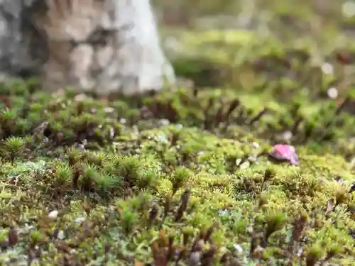 西方山極楽寺(岐阜県)