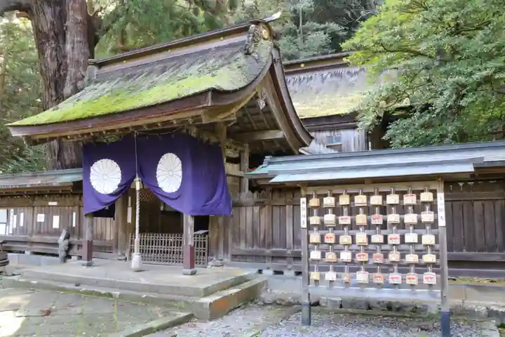 若狭姫神社(若狭彦神社下社)の本殿・本堂