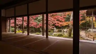 蓮華寺（洛北蓮華寺）(京都府)