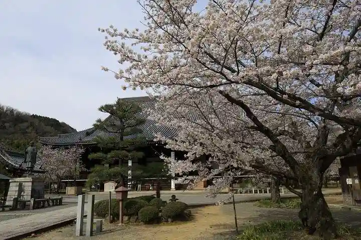 光明寺(粟生光明寺)(京都府)