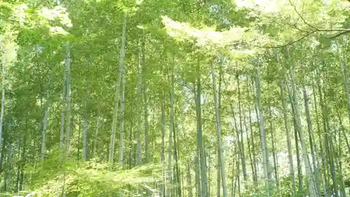 圓光寺(京都府)