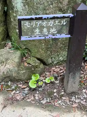 柳谷観音　楊谷寺のその他建物