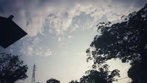尾張大國霊神社（国府宮）の自然