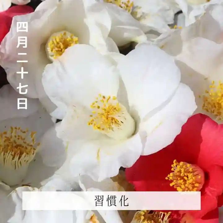 壽徳寺 じゅとくじ(福島県)