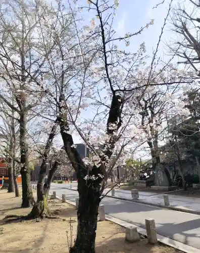 葛飾八幡宮の{uncategorized: "未分類", other: "その他", undefined: "問題あり", building: "その他建物", grave: "お墓", sacred_gate: "鳥居", guardian: "狛犬", statue: "像", buddha: "仏像", history: "歴史", nature: "自然", garden: "庭園", animal: "動物", pagoda: "塔", temizu: "手水舎", mountain_gate: "山門・神門", sanctuary: "本殿・本堂", subordinate: "末社・摂社", art: "芸術", scenery: "景色", jizo: "地蔵", ema: "絵馬", goshuin: "御朱印", omikuji: "おみくじ", items: "授与品その他", amulet: "お守り", goshuincho: "御朱印帳", eats: "食事", festival: "お祭り", votive_dance: "神楽", shichigosan: "七五三参", wedding: "結婚式", experience: "体験その他", initially: "初詣", around: "周辺", anti_infection: "感染症対策"}