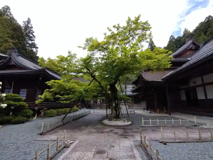 龍泉院(和歌山県)
