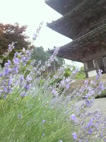 南法華寺（壷阪寺）の塔