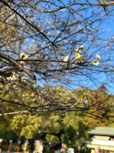 石清水八幡宮(京都府)