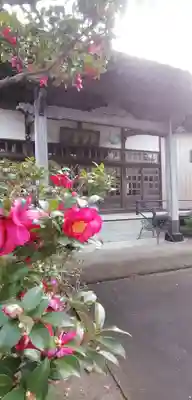 真福寺の本殿・本堂