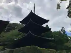 園城寺（三井寺）(滋賀県)