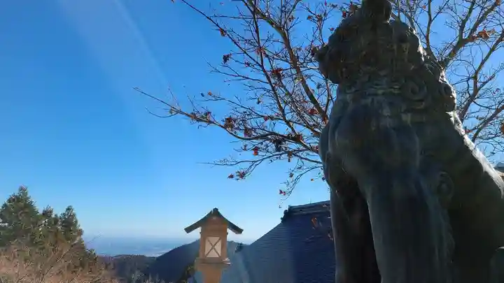 武蔵御嶽神社の狛犬