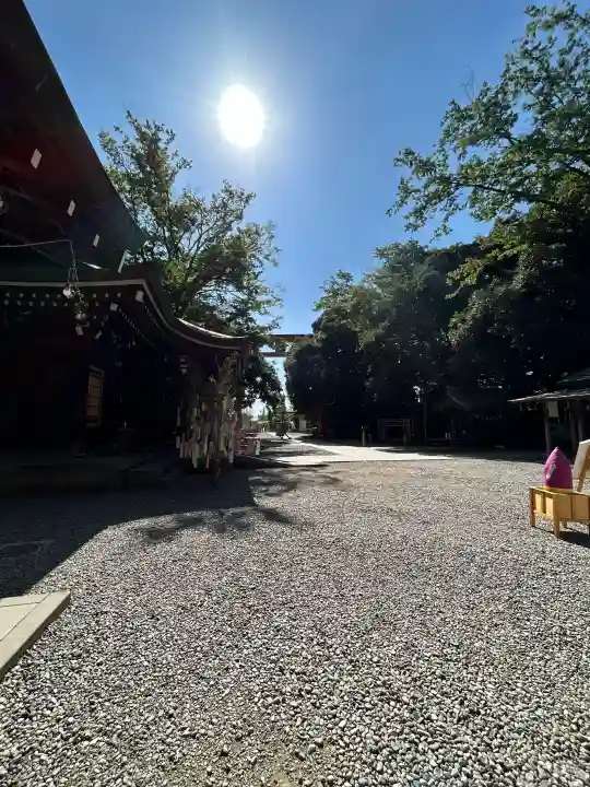 川越氷川神社(埼玉県)