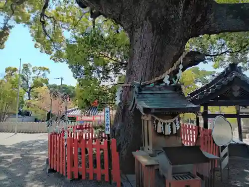 百舌鳥八幡宮(大阪府)
