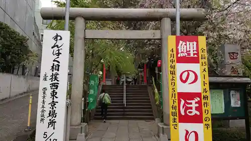 田無神社の鳥居