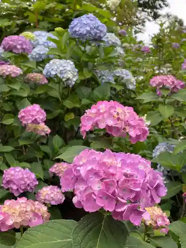 白山神社(東京都)