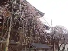 湯島天満宮の自然