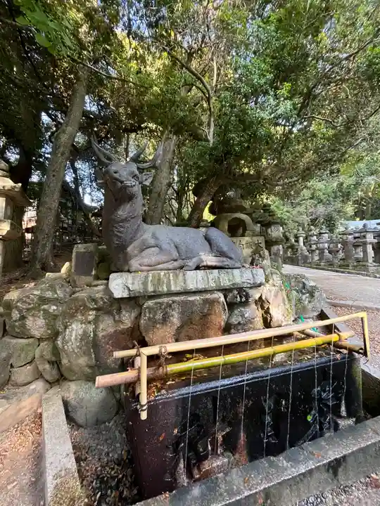 春日大社の手水舎