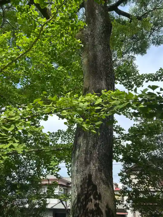 九頭大明神(大阪府)