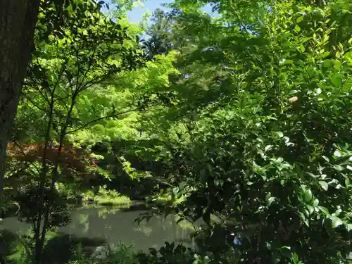 鶴岡八幡宮の自然